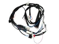 main wire / general wire harness for Malaguti F12 50 LC