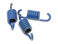 Minarelli Polini Race Clutch Spring Kit Polini Sport Series in Blue for Minarelli High-Performance Engines in Scooters, Quads, and Motorbikes