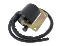 Moped Electric Ignition Coil for Vespa Citta, Ciao, SI, Puch Maxi Mopeds