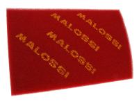 Universal Malossi Parts For Scooters Air Filter Foam Malossi Double Red Sponge 300x200mm - Malossi Shop Universal Scooter Spare Parts