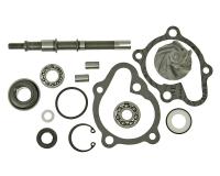 Vicma Kymco 150cc Water Pump Repair Kit for Kymco 125-150 LC, Bet and Win 125-150cc, Yager 125, Malaguti Warrior F18 150cc by VParts Scooter Replacement Parts
