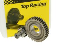 secondary transmission gear assy Top Racing 15/39 for NRG 50 Power LC (DD Disc / Disc) 18- E4 [ZAPCA7100]
