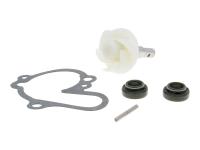 Water Pump Repair Kit for Beeline, CPI SM 50, SX 50, CPI OffRoad Motocross and Enduro motorcycles by 101 Octane Parts