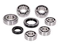 SYM KYMCO Engine Parts - Gearbox Bearing Set Complete w/ oil seals for SYM Jet 50, Kymco horizontal SF10 engines in Kymco Cobra 50, People 50, Super 8, Super 9 Scooters, Kymco Quads MXU, Mongoose, Maxxer