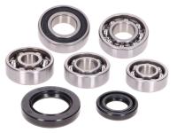 gearbox bearing set w/ oil seals for Honda X8R 50 S/X SZX50 [AF49]
