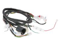 main wire / general wire harness for Zhongyu ZY50QT-7