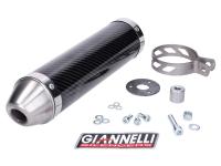 muffler Giannelli carbon for Aprilia RX, SX 50 06-15, Derbi Senda 50 RX, SM X-Race, X-Treme 09-15