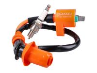 ignition upgrade kit Naraku ignition coil and spark plug iridium for Peugeot Kisbee 50 4T (Carburetor) [K1AAAA] 10-17 E2