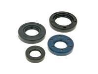 Naraku Scooter Parts Engine Oil Seal Set for PGO, Genuine Scooters Roughhouse, Black Cat Rattler 50cc Scooters