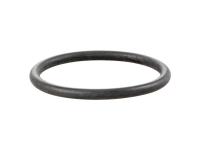 O-Ring for exhaust flange, exhaust