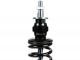 shock absorber front BGM PRO SC/F16 COMPETITION, 240mm for Vespa GTS, GTV 125-300 -2013, 2017-2022